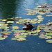 Margaret Ponds Photo 3