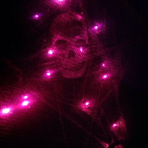 Charles Downs Photo 16