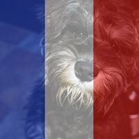 Deborah Rea Photo 12