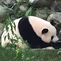 Mary Palmer Photo 14