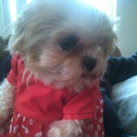 Angela Penn Photo 29