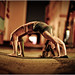Geri Long Photo 17