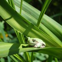 Cheryl Carney Photo 14