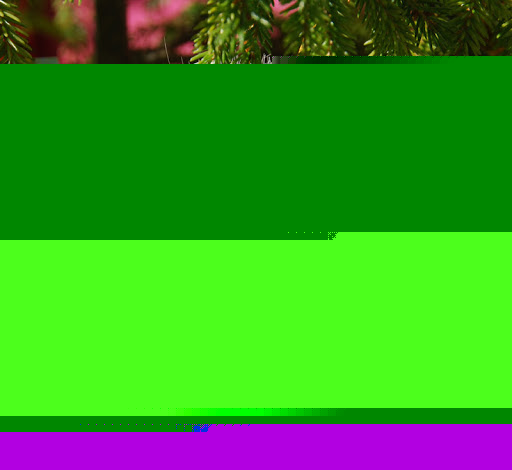 Jenny Hunter Photo 35