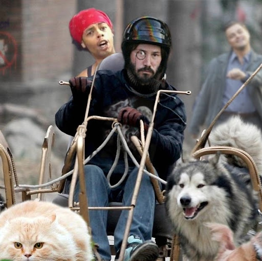 Shannon Fields Photo 26