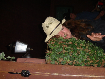 Janette Andrews Photo 5