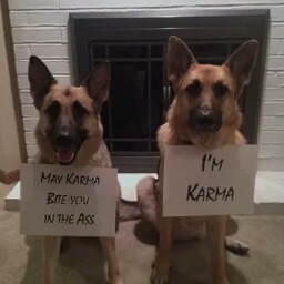 Jeremy Preston Photo 18