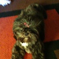 Janice Rucker Photo 12