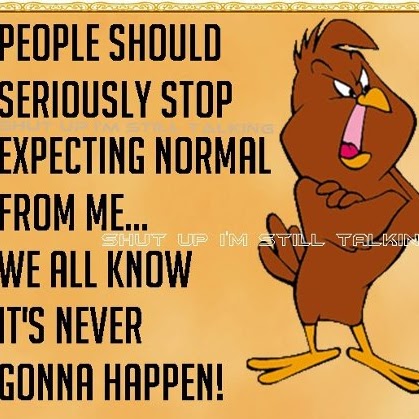 Chris Stephens Photo 17