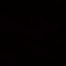 Ronnie Craig Photo 33