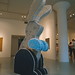 Andrew Lieberman Photo 31