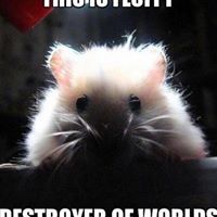 Crystal Mccarthy Photo 33