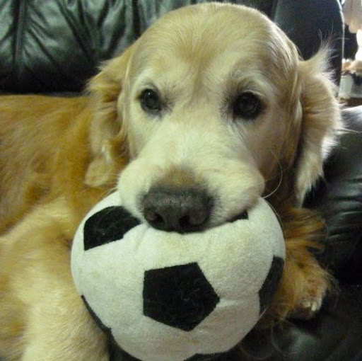 Connie Chung Photo 38