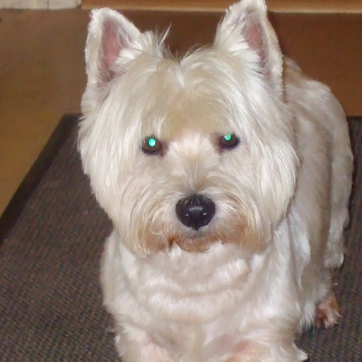 Norman Simpson Photo 28