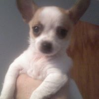 Gregory Swinney Photo 2