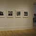Diane Newcomb Photo 23