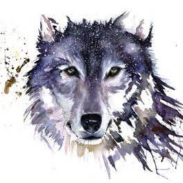 Reinhard Steck Photo 4