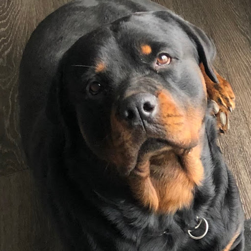 Diane Reyes Photo 26