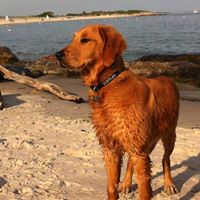 Diane Harrington Photo 20