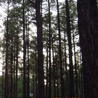 Kathleen Hager Photo 21