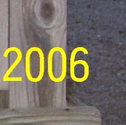 Hunter Cook Photo 33