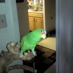 Anastacio Martinez Photo 25