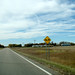 Therese Becker Photo 16
