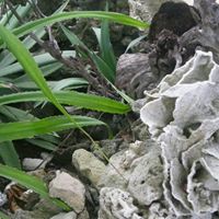 Sheryl Webster Photo 28