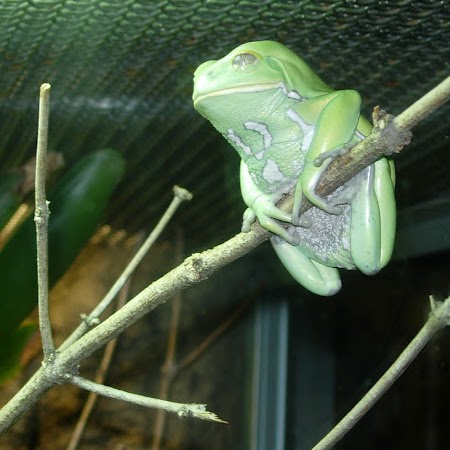 Tyrone Reed Photo 33 Tyrone Reed Photo 33