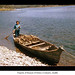Cynthia Grainger Photo 16