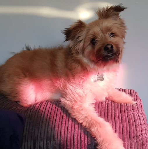 Laura O'Neill Photo 15