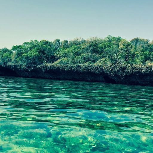 Joy Thompson Photo 5