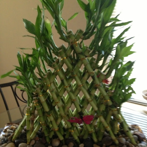 Joann Washington Photo 6