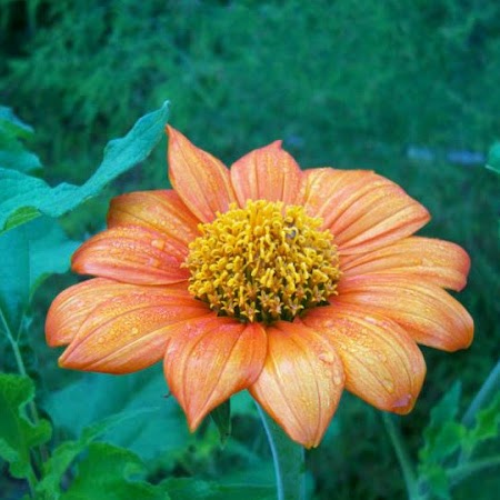 Steven Byrd Photo 45