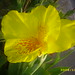 Andrew Flowers Photo 10