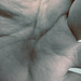 Earl Finger Photo 9