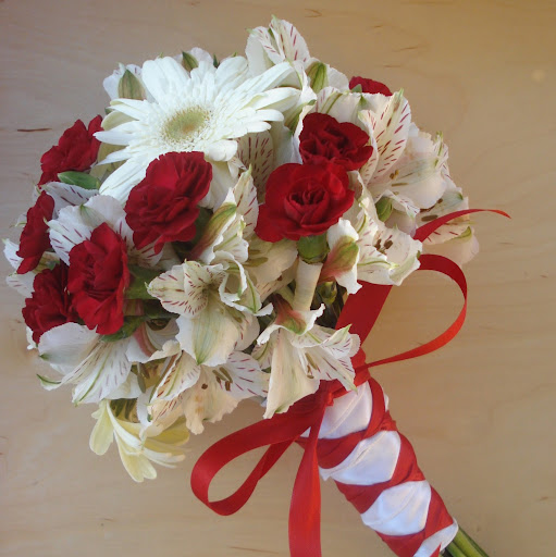 Michelle Olson Photo 18