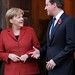 David Merkel Photo 19