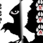 Daniel Raven Photo 9