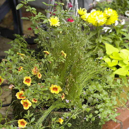 Julie Tyler Photo 12