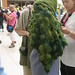 Sheila Smith Photo 14
