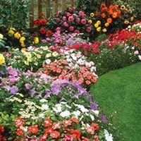 Doris Walters Photo 23