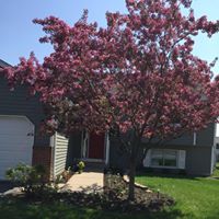 Suzanne Tenney Photo 5