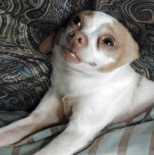 Michele Dominguez Photo 27