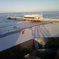 Mark Watkins Photo 24