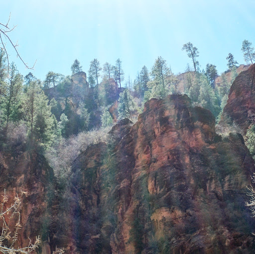 Wayne Ellis Photo 25