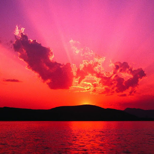 Lisa Cooper Photo 31