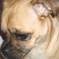 Jerry Spencer Photo 7