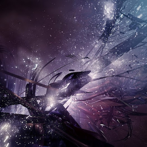 Shane Draper Photo 14