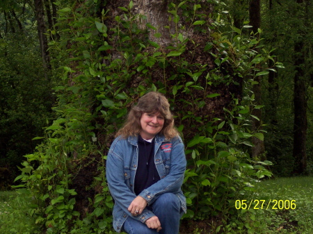 Diane Allison Photo 11